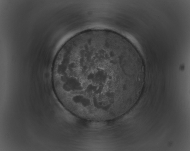 X0000091551183200708311347