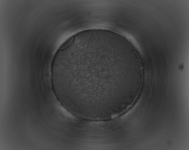 X0000091551184200708311347