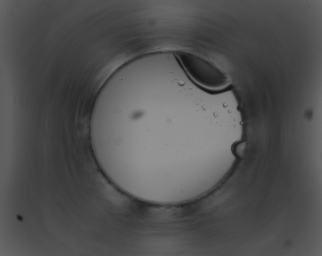 X0000091551185200708311347