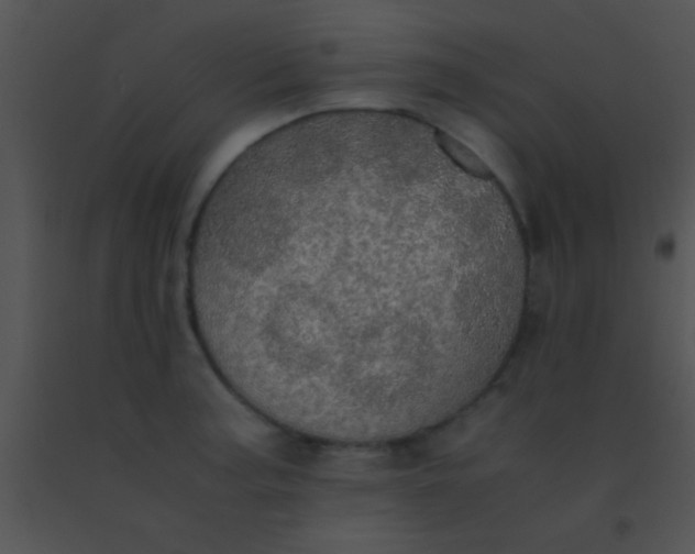 X0000091551187200708311347
