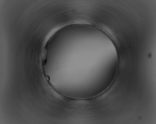 X0000091551188200708311347