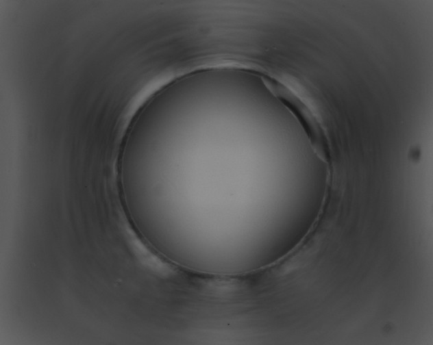 X0000091551189200708311347