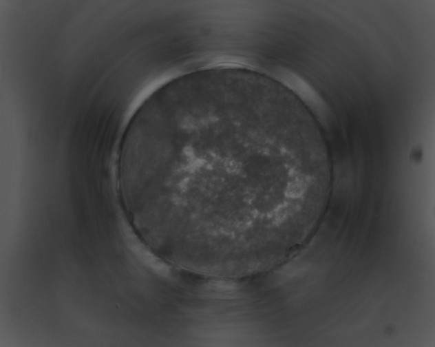 X0000091551190200708311347