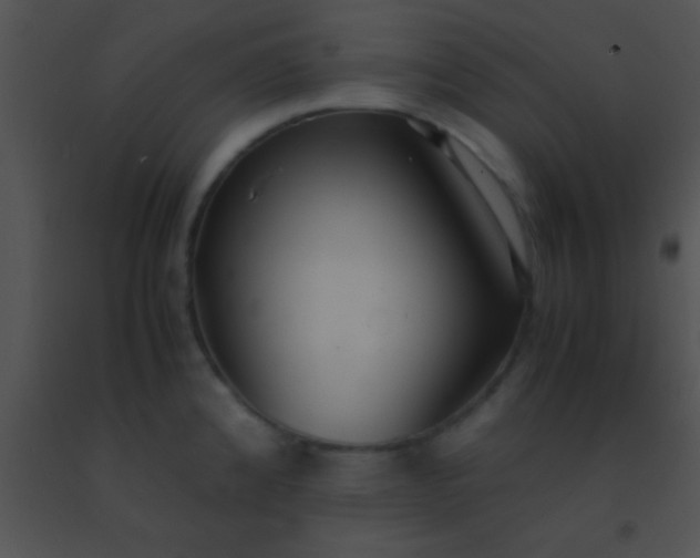 X0000091551192200708311347