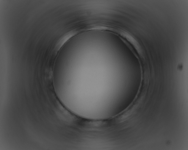 X0000091551193200708311347