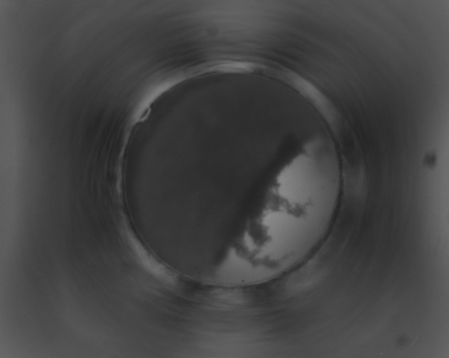 X0000091551194200708311347