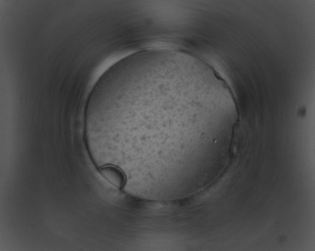 X0000091551195200708311347