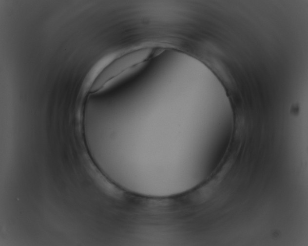 X0000091551196200708311347