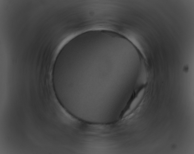 X0000091551197200708311347