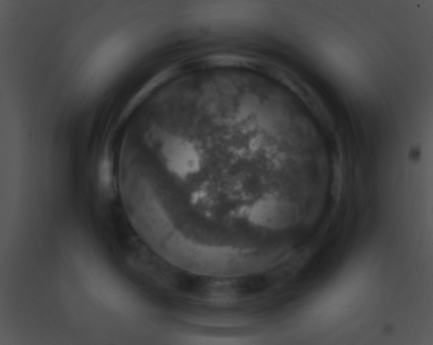 X0000091551198200708311347