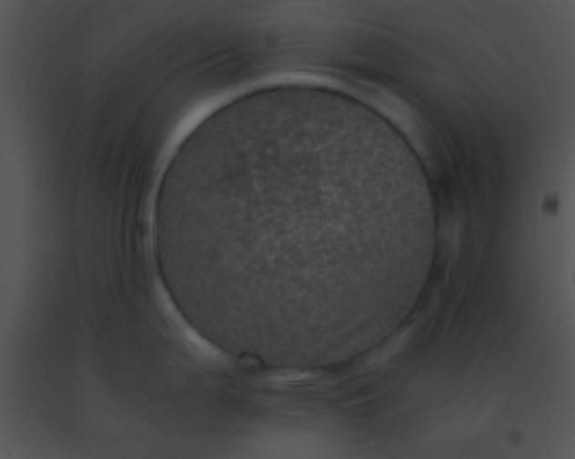 X0000091551199200708311347