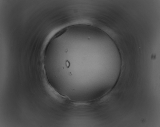 X0000091551200200708311347
