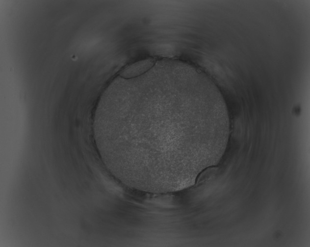 X0000091551201200708311347