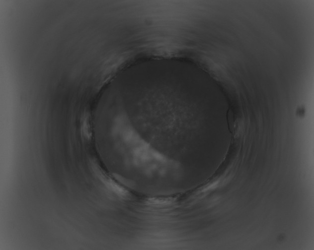 X0000091551202200708311347
