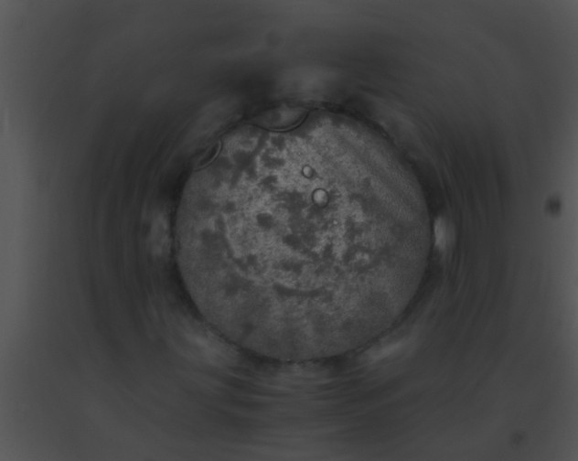 X0000091551203200708311347