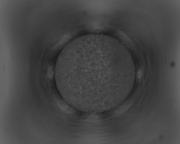 X0000091551204200708311347