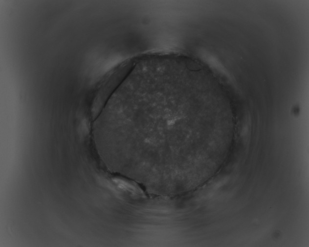 X0000091551206200708311347