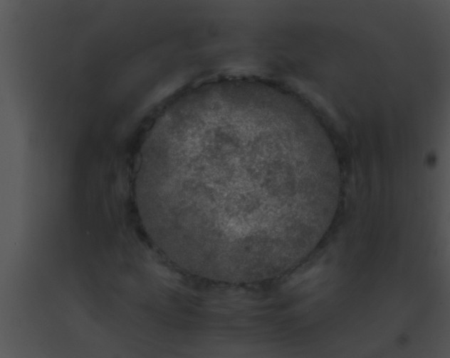 X0000091551207200708311347