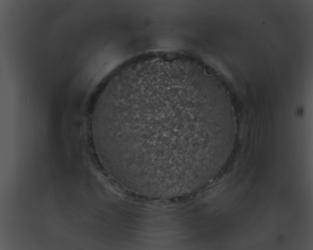 X0000091551208200708311347