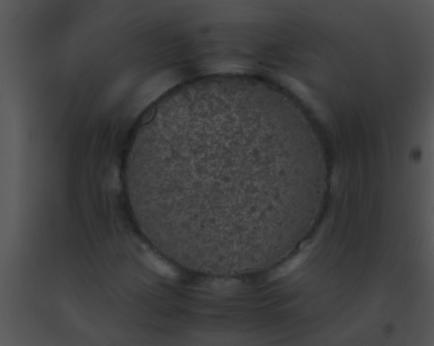 X0000091551209200708311347