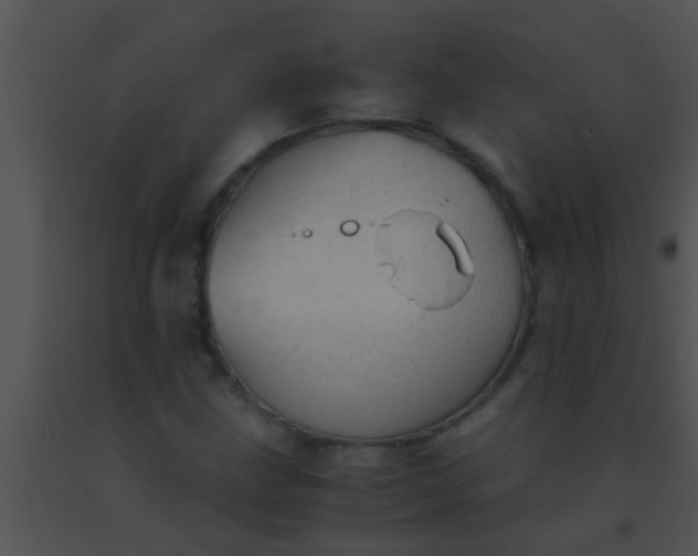 X0000091551211200708311347