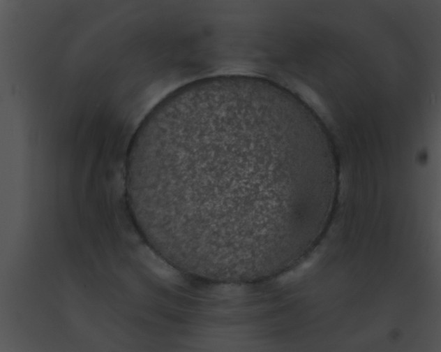 X0000091551212200708311347
