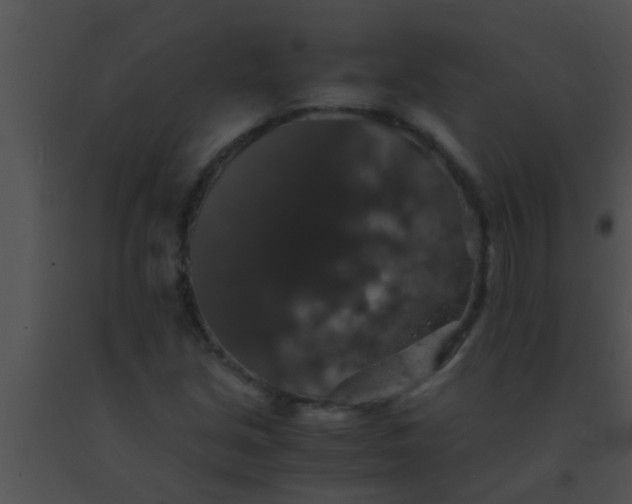X0000091551213200708311347