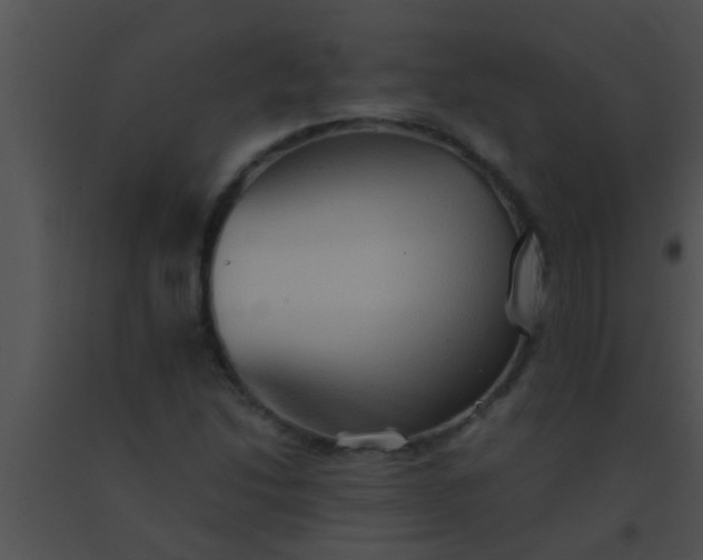X0000091551214200708311347