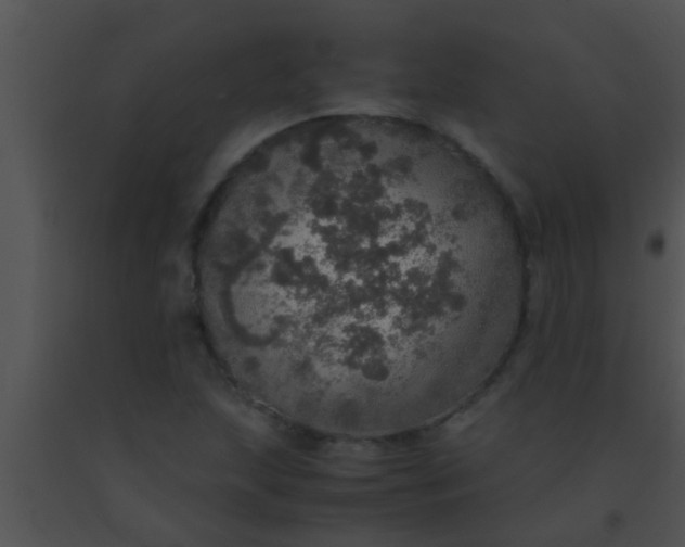 X0000091551215200708311347