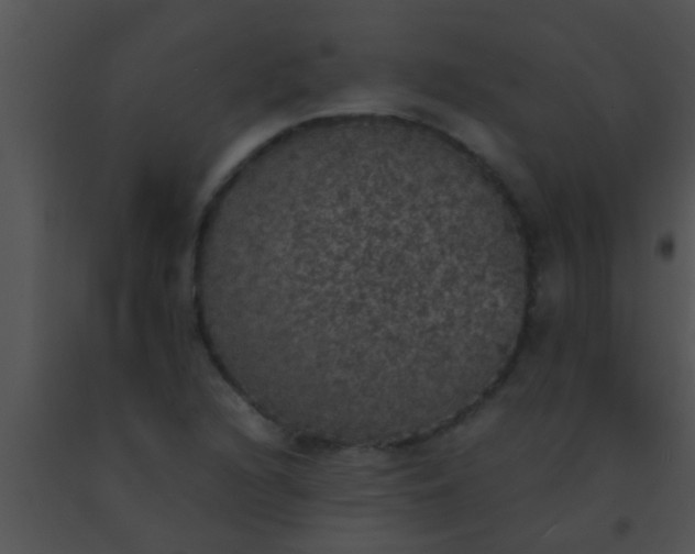 X0000091551216200708311347