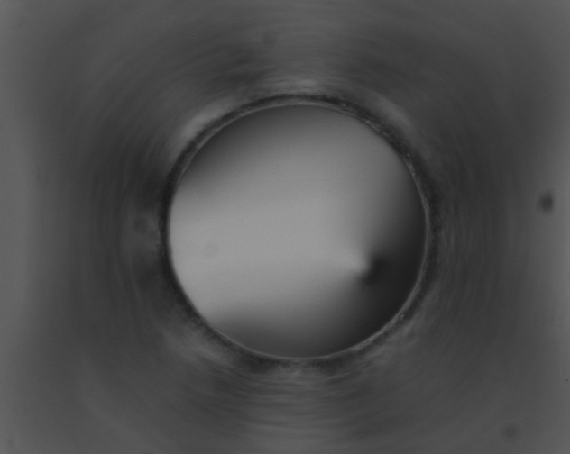 X0000091551218200708311347