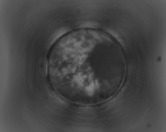 X0000091551219200708311347
