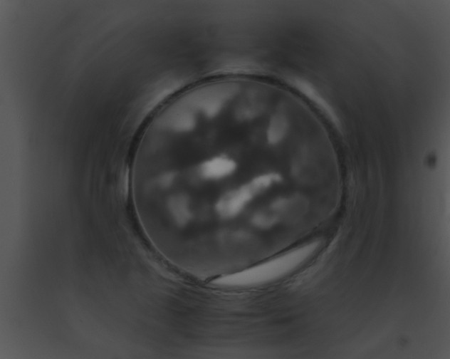 X0000091551221200708311347