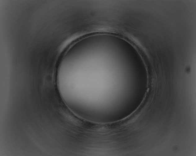 X0000091551222200708311347