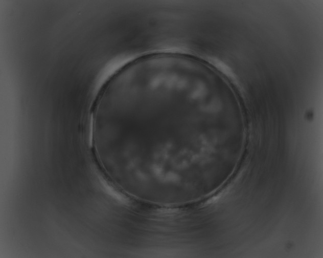 X0000091551223200708311347