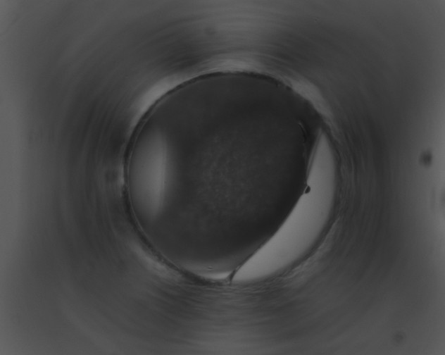 X0000091551226200708311347