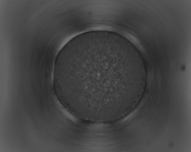 X0000091551228200708311347