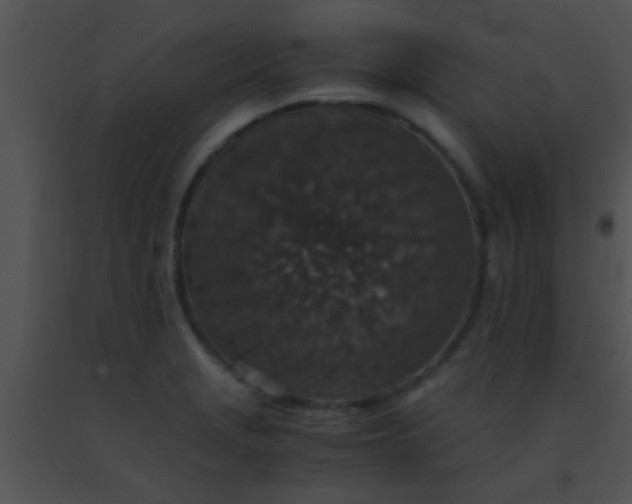 X0000091551229200708311347