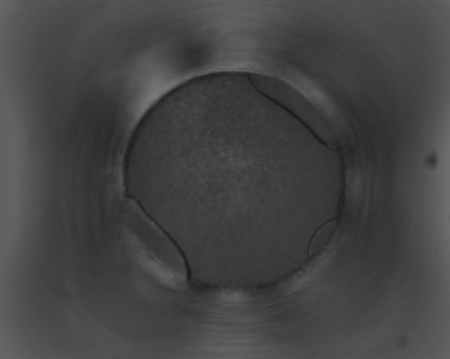 X0000091551230200708311347