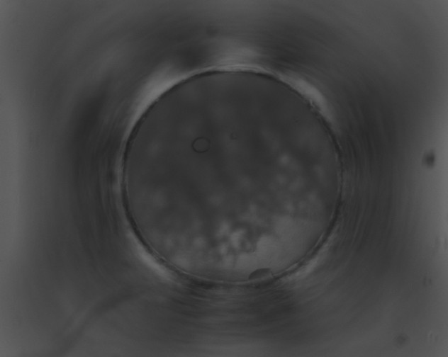 X0000091551231200708311347