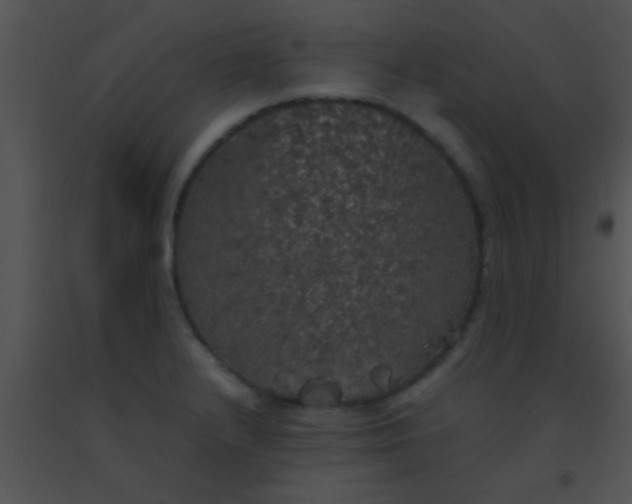X0000091551232200708311347