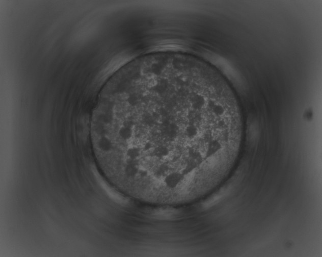 X0000091551233200708311347