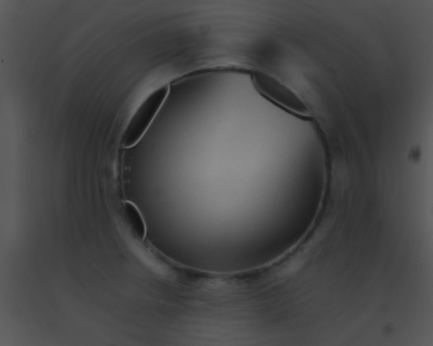X0000091551234200708311347
