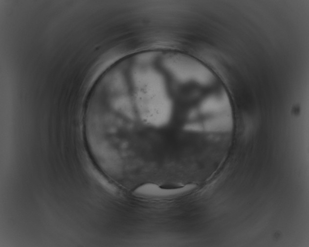 X0000091551235200708311347