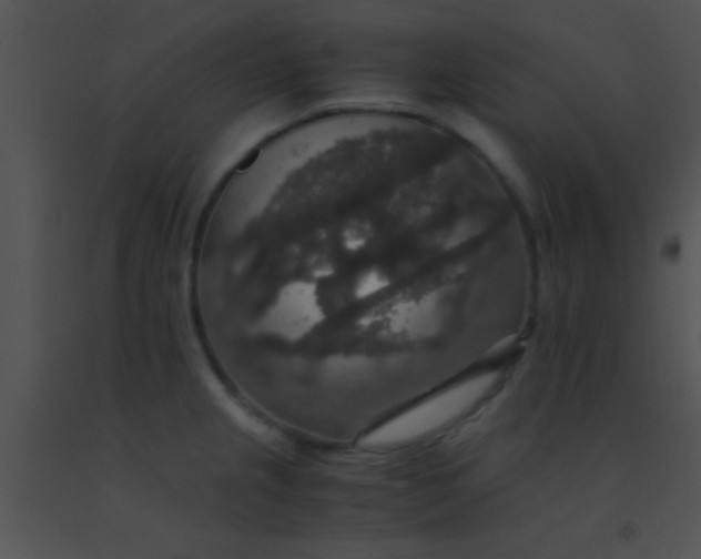X0000091551237200708311347