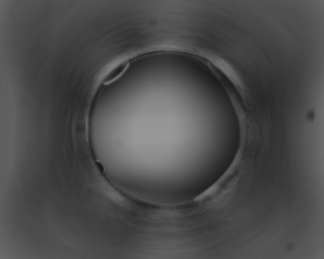 X0000091551238200708311347