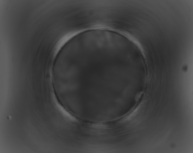 X0000091551239200708311347