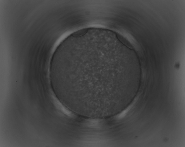 X0000091551240200708311347