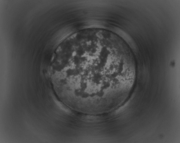 X0000091551241200708311347