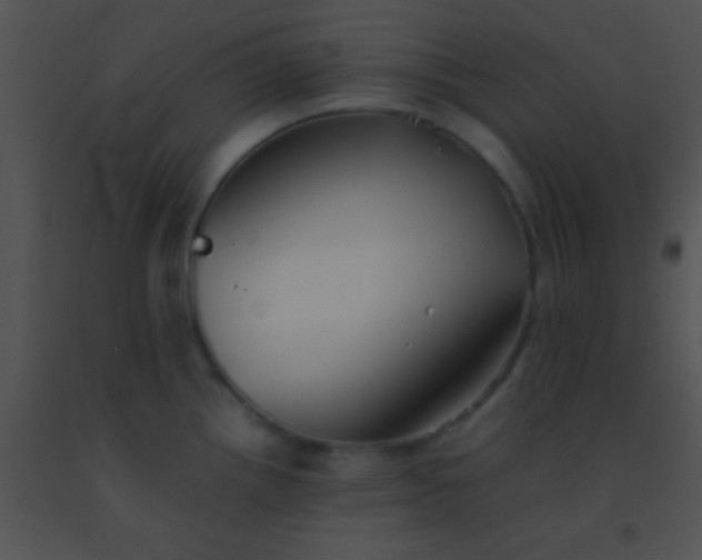X0000091551242200708311347